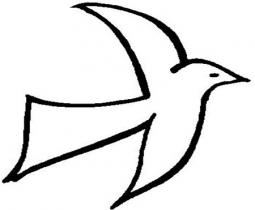 和平、友谊、团结、圣洁的象征 和平鸽简笔画图片