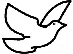 和平鸽的呼吁 和平鸽简笔画图片
