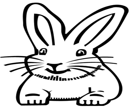 我家的兔子素材简笔画图片