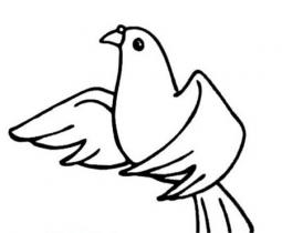 和平的使者 和平鸽简笔画图片