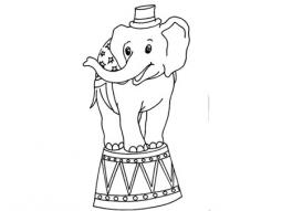 保护大象的方法简笔画