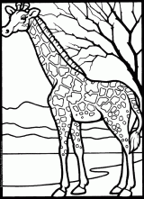 临摹长颈鹿长颈鹿简笔画画法