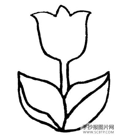 月季花简笔画图片