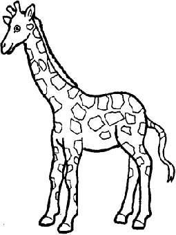 物体的细节特点长颈鹿简笔画教程