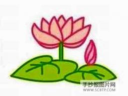 牵牛花简笔画图片