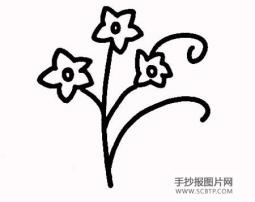 清泉与玫瑰花根简笔画图片