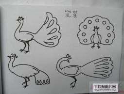 孔雀简笔画儿童简笔画画法