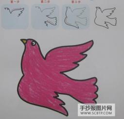 简笔画的简化技巧 关于鸽子的简笔画图片