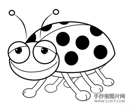 七星瓢虫简笔画图片大全   尊敬的七星瓢虫