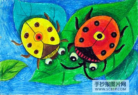 七星瓢虫简笔画图片大全   七星瓢虫的天地