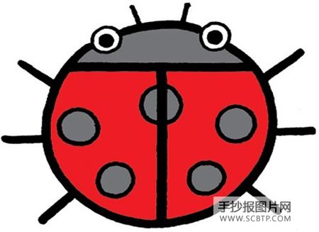 七星瓢虫简笔画图片大全   可爱的七星瓢虫
