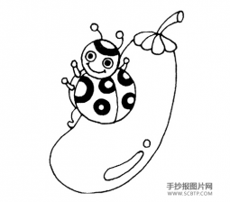 七星瓢虫简笔画图片大全   七星瓢虫的画法