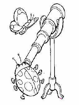 七星瓢虫简笔画图片大全   可爱的七星瓢虫