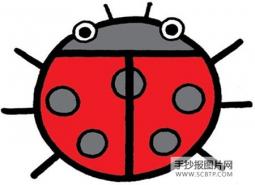 七星瓢虫简笔画图片大全   可爱的七星瓢虫