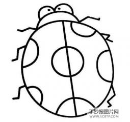 七星瓢虫简笔画图片大全   漂亮的七星瓢虫