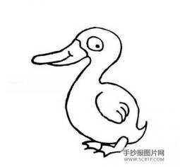 我喜欢的小鸭子简笔画