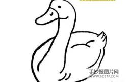 小鸭子和黄狗简笔画