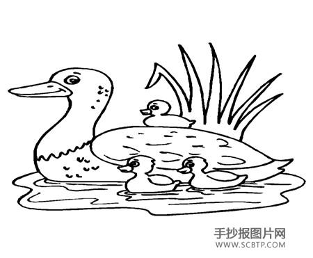 我的小鸭子简笔画