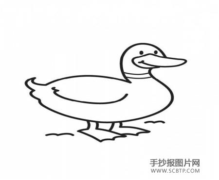 简笔画小鸭子的画法简笔画