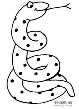 一条可怕的蛇简笔画