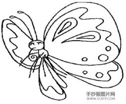 蜜蜂和蝴蝶的故事简笔画