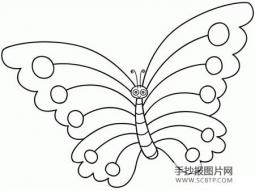 蝴蝶学史简笔画