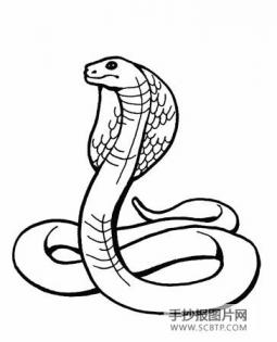 我是一条蛇简笔画