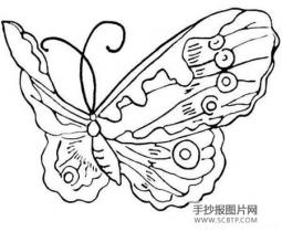 你说，这只蝴蝶漂亮不漂亮简笔画