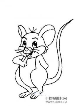 老鼠种类简笔画