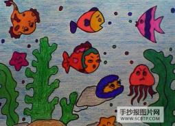 海中鸳鸯——蝴蝶鱼简笔画