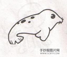 貌似家犬的海豹简笔画