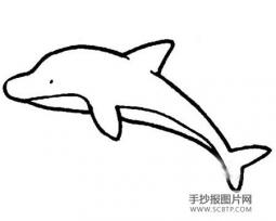 潜水冠军——抹香鲸简笔画