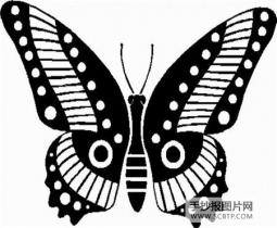 我喜爱的蝴蝶简笔画