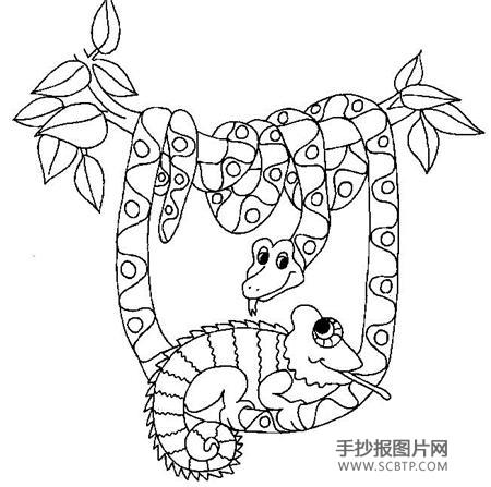 勾树蛇简笔画