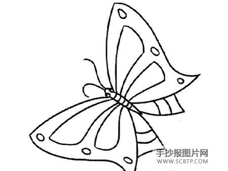 蝴蝶展简笔画