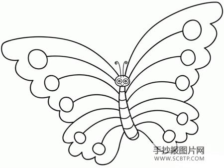 蝴蝶学史简笔画