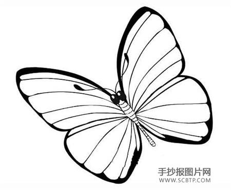 蝴蝶的家——空中花园简笔画