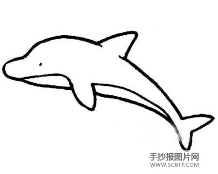 海豚简笔画