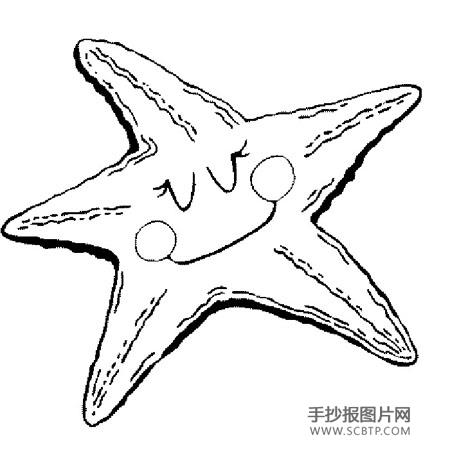 保护海洋生物简笔画