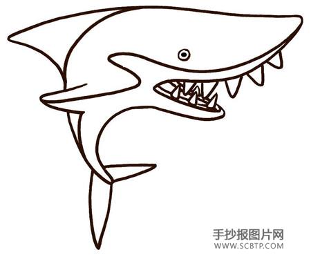 海中霸王——鲨鱼简笔画