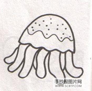 我国的海洋生物种类简笔画