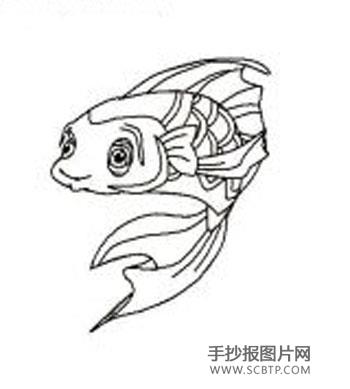 深海打捞员——海狮简笔画