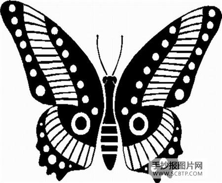 我喜爱的蝴蝶简笔画