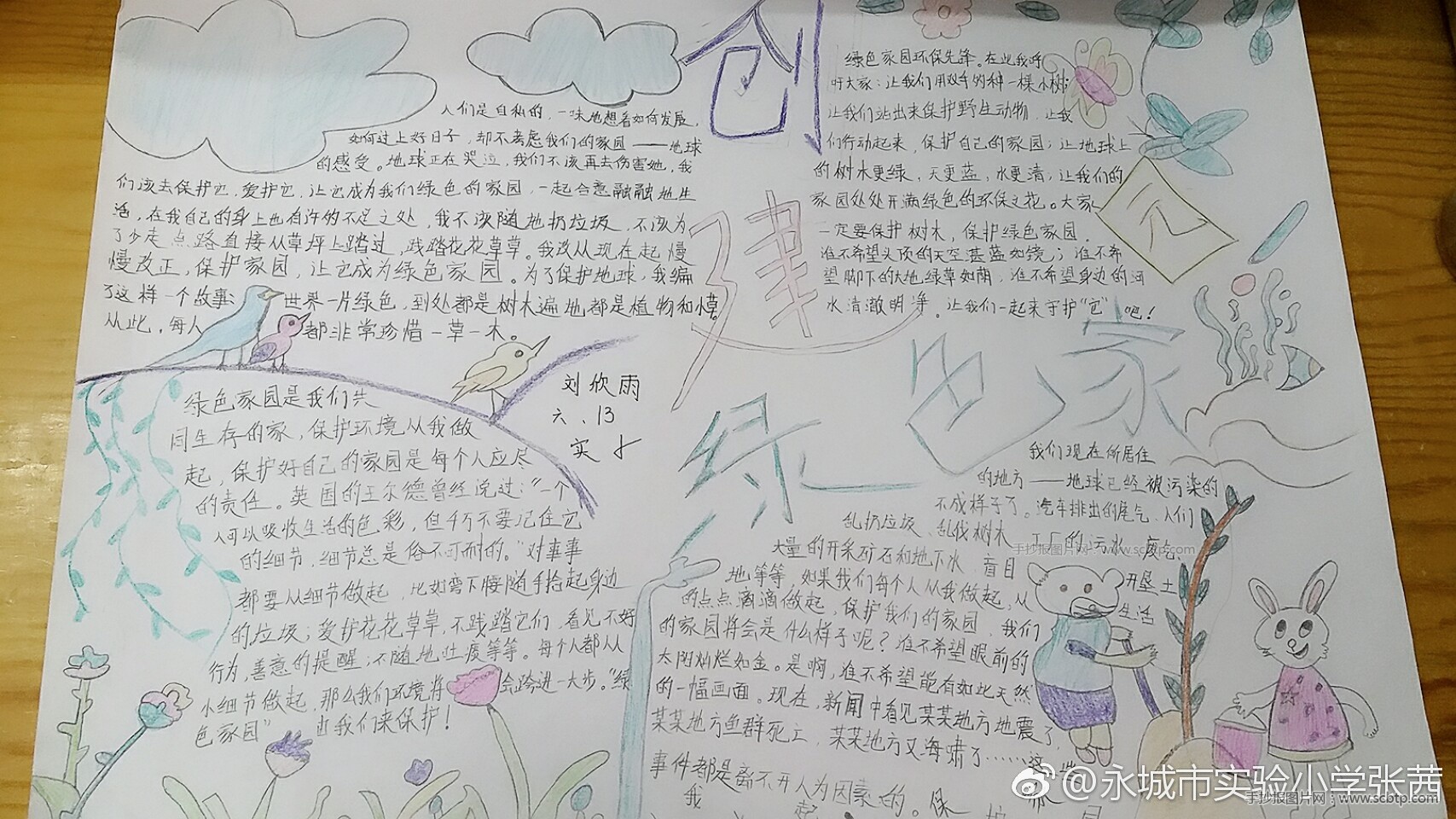 植树节手抄报图片内容_种下绿色保护环境手抄报图片资料