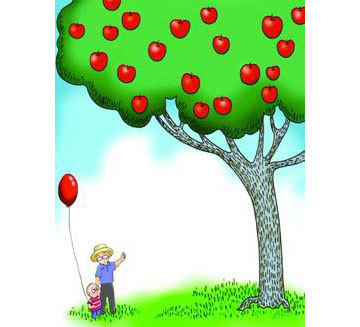 苹果树，感人故事