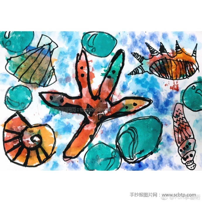 海洋生物主题手抄报插图，贝壳图画